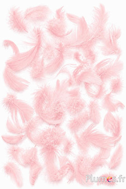 Oie - 4-6 cm - rose tendre